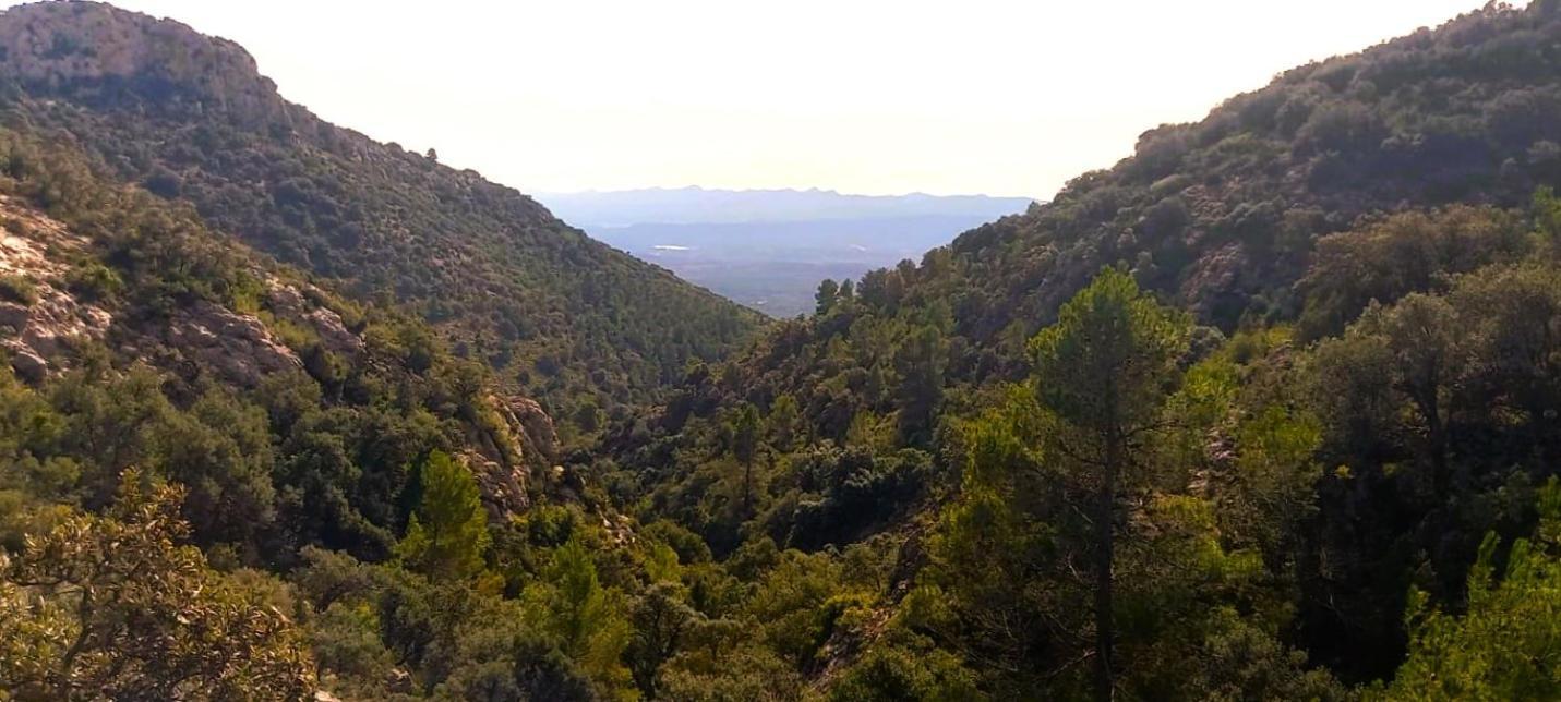 Caudiel Casa Rural Matilde מראה חיצוני תמונה